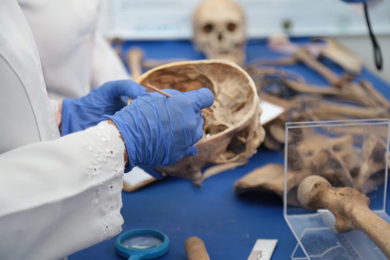 IML identifica corpos e ossadas em avançado estado de decomposição