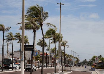 Calor será predominante nos próximos dias