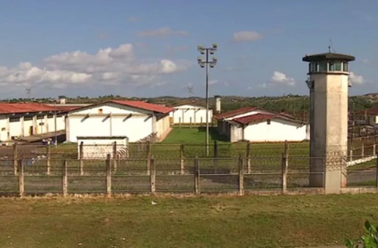 guaritas