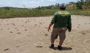 Inscrições para o concurso do Ibama irão até esta segunda-feira