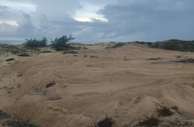 a1a4e6b3-192a-4b29-ac0a-609460379d83