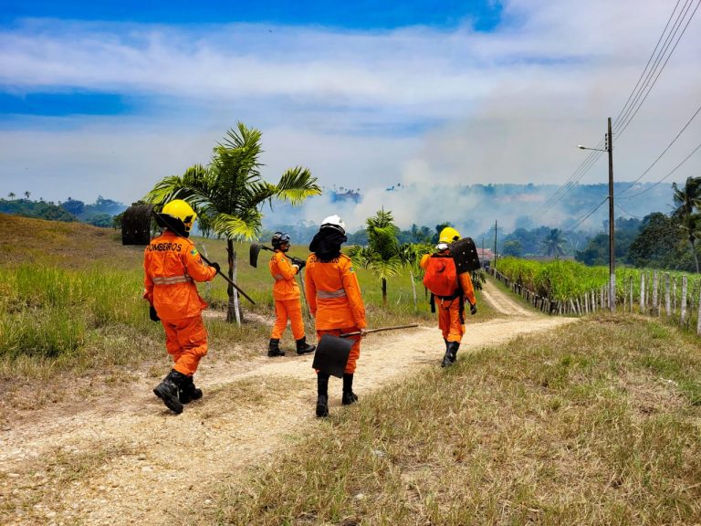 Corpo de Bombeiros atende 22 ocorrências de incêndio em vegetação no final de semana