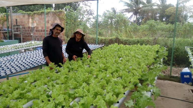 Agroamigo incentiva produção orgânica em Lagarto