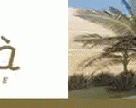 ezgif.com-gif-maker