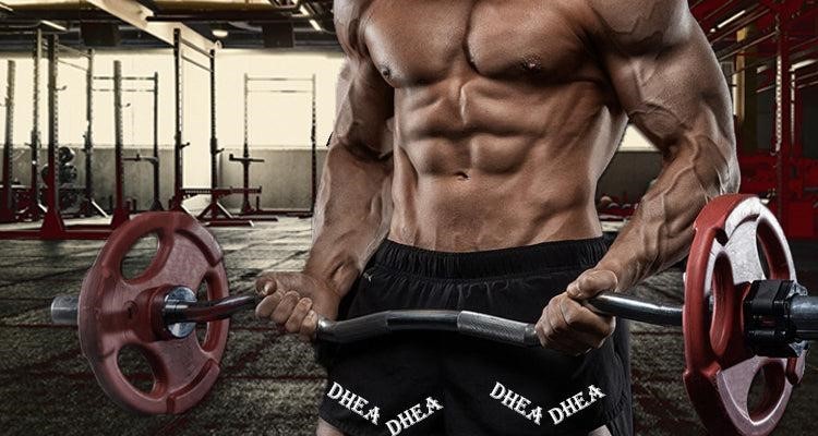 Como ganhar massa muscular com DHEA