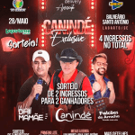 Camada 4