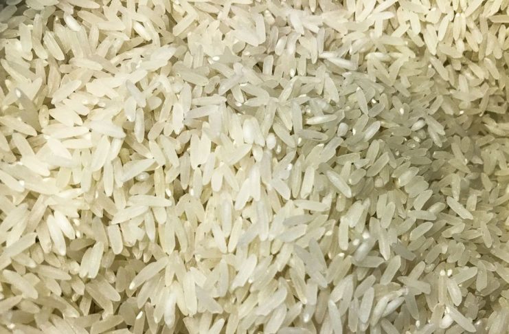 Arroz