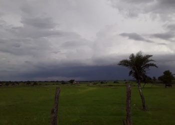 Chuvas permanecem durante o fim de semana em todo o estado