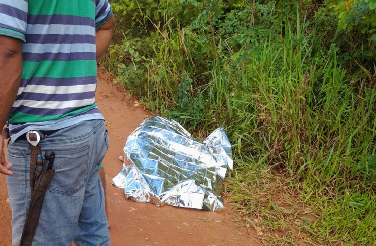 45CD07B7-2D1B-43C4-8131-2AC16CEC8FFD