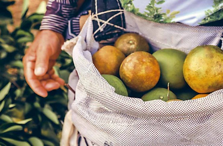 ed355af79ed3c2581bb9c907b5f8ac9b