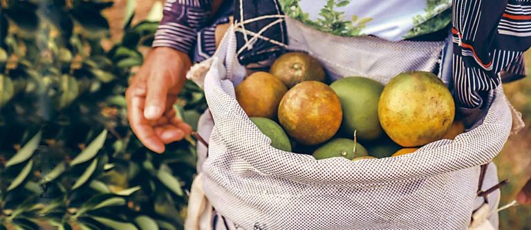 Governo quer reajustar parcelas do Mão Amiga Laranja para R$ 250