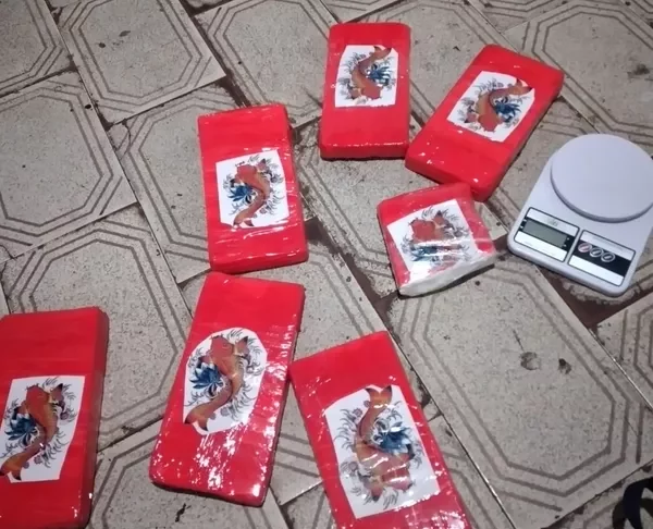 Cocaína em tabletes — Foto: SSP/SE