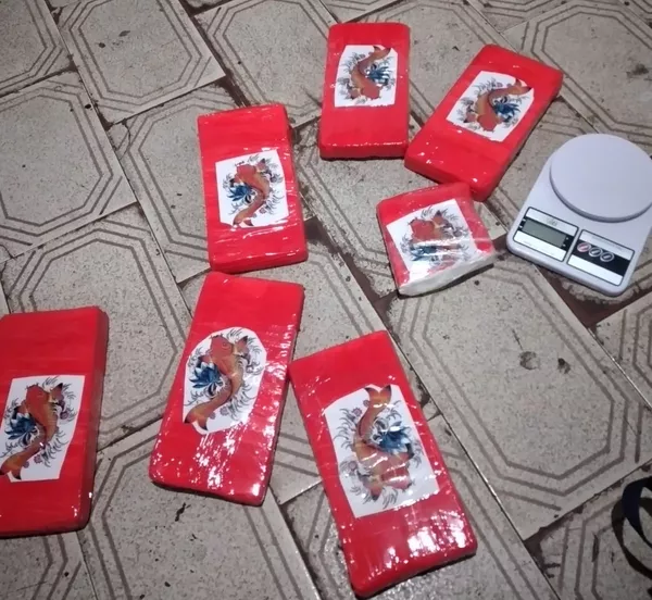 Cerca de 6,5 quilos de cocaína são apreendidos em Aracaju