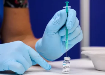 Anvisa aprova liberação de vacina e medicamento contra varíola dos macacos