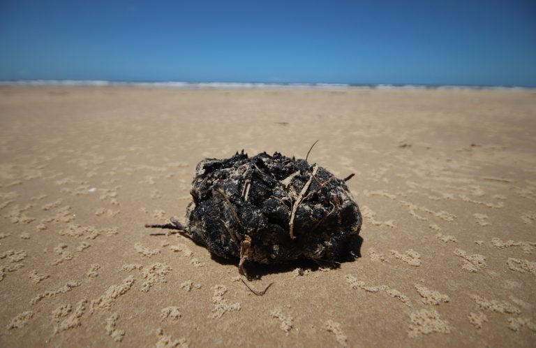 UFS: Óleo encontrado em praias está associado a depósitos de parafina