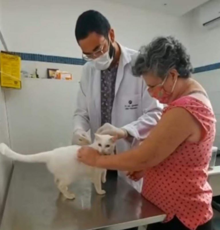 Protetora Vera fala sobre a microchipagem de animais