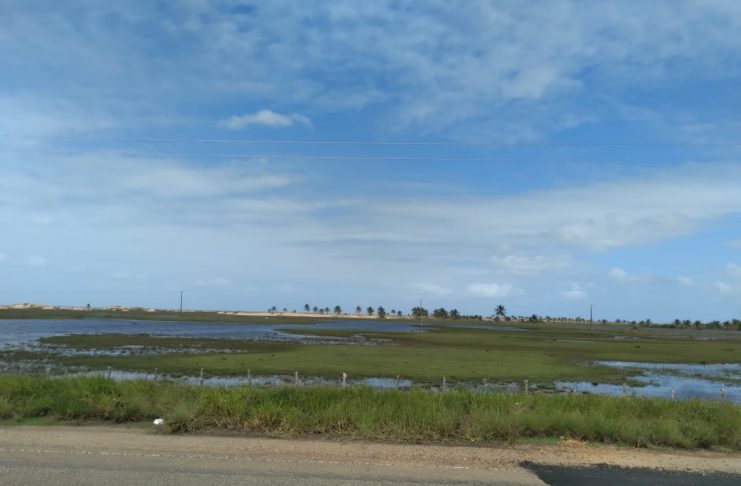 WhatsApp Image 2022-09-28 at 10.23.26