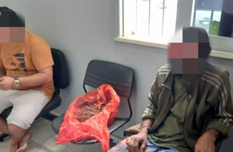 WhatsApp Image 2022-09-28 at 17.46.04