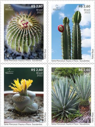 Correios lançam selo em homenagem à flora brasileira