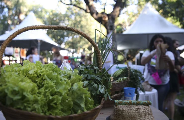 Em Brasília o evento Hora do Planeta tem programação com diversas atividades ligadas à sustentabilidade, como feira de adoção de animais, feira sustentável, espetáculos artísticos e oficinas. (Foto: José Cruz)