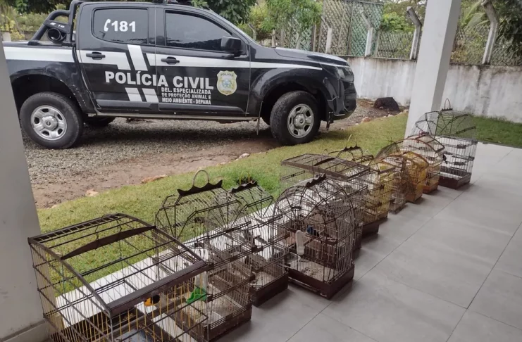 whatsapp-image-2022-10-27-at-15.13.52