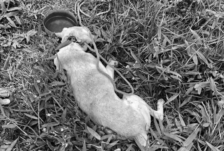 19057C4D-2245-4835-8934-AA1F940E6BC8