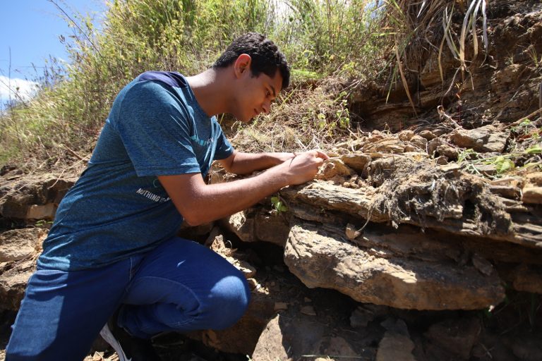 Vídeo: Descoberta da UFS coloca SE no mapa mundial dos dinossauros