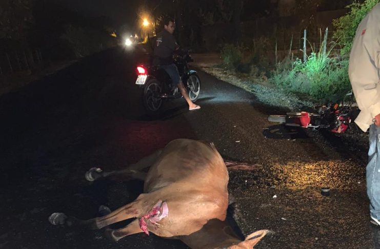 WhatsApp Image 2022-11-27 at 20.18.44