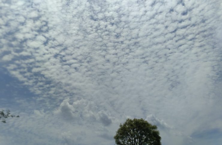 9ac946f4da5737681081b683add51564