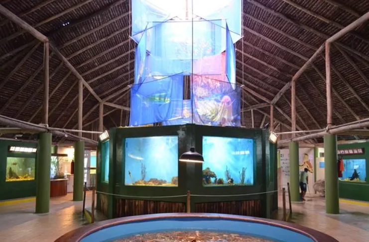 OCEONARIO