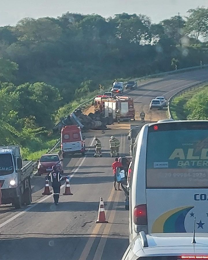 Vídeo: Motorista é atacado por abelhas e caminhão tomba em Sergipe