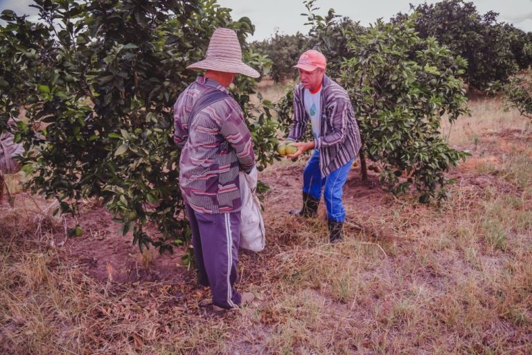 Governo de Sergipe paga 1ª parcela do Mão Amiga Laranja 2022/2023