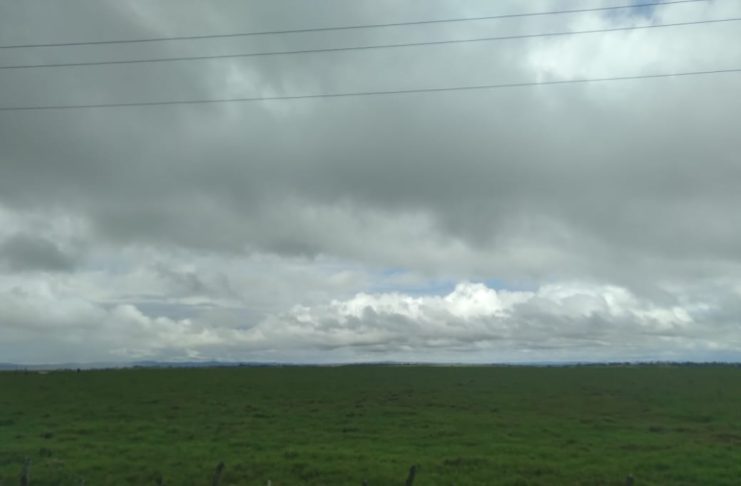 cb0833ab6774286e10c949ac0a29da2d