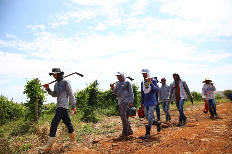 Garantia Safra começa a ser pago aos produtores de Tobias e Poço Verde