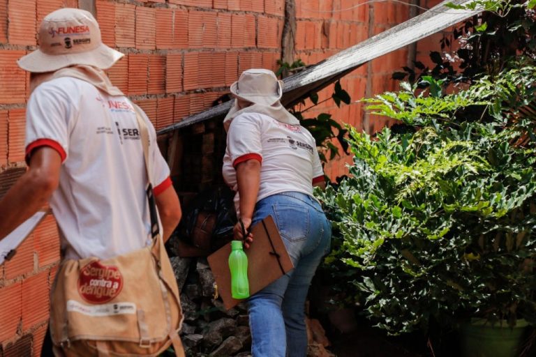 Salgado, São Domingos e Simão Dias têm alto risco de infestação pelo Aedes