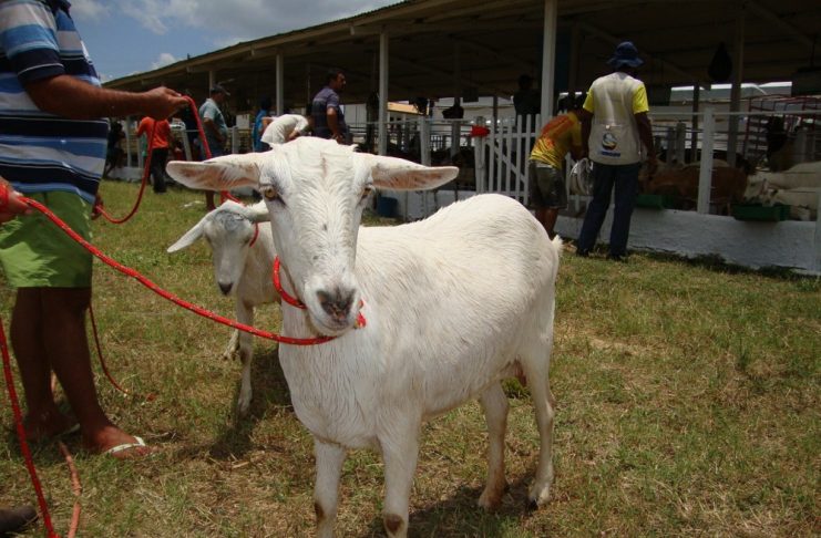 9202b70cf6527227fb8c2b5024ed2e93