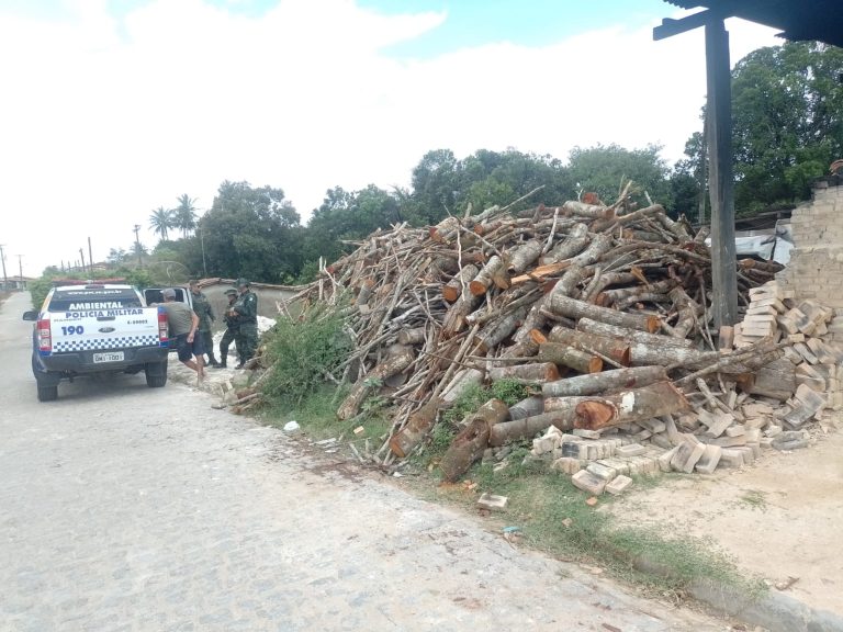 Polícia Militar desativa depósito ilegal de madeira em Itabaiana
