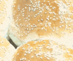 biscopao(560 × 125 px)