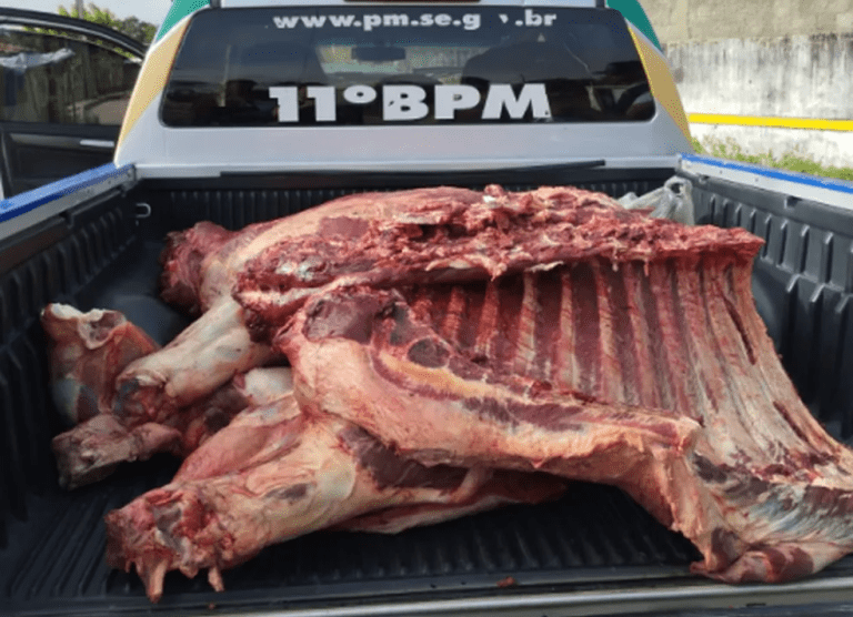 Cerca de 300 kg de carne são apreendidos sem registro em Itabaianinha