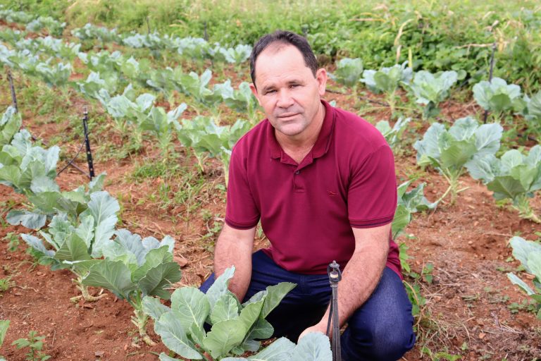Irrigantes de SE irão produzir sementes para marca de insumos agrícolas nacional
