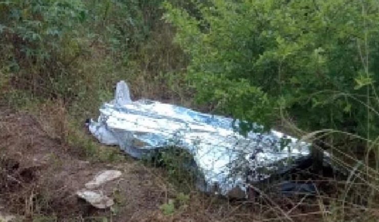 WhatsApp Image 2023-05-08 at 08.48.26