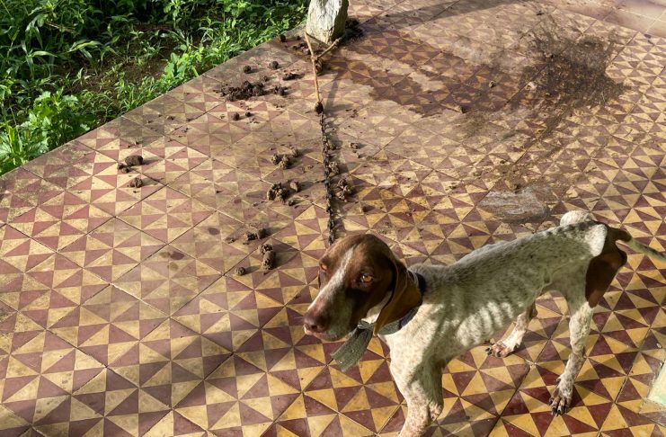 WhatsApp Image 2023-05-11 at 19.32.31