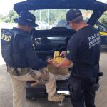 WhatsApp Image 2023-05-15 at 09.14.36