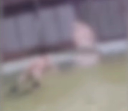 Lagarto: Jovens que mergulharam em fonte luminosa correram risco de morte