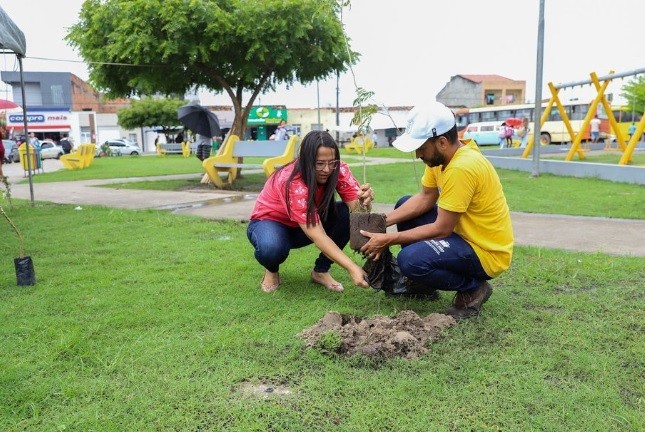 Prefeitura de Simão Dias realiza plantio de árvores na cidade