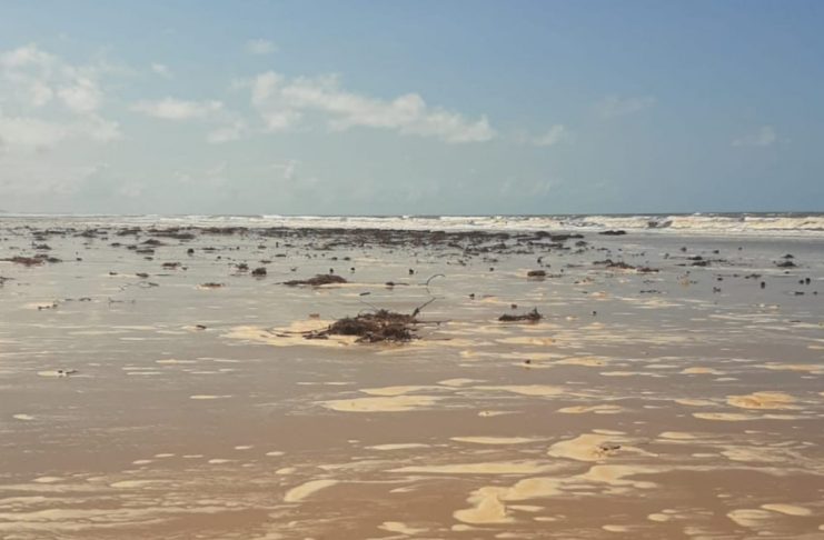 slide_275336562dc586268407e6c48976d83b