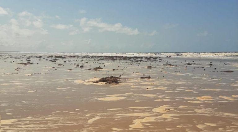 Adema emite nota sobre material espumoso nas praias de Sergipe