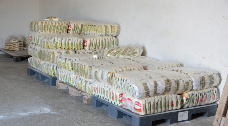 Primeira remessa de farinha de Campo do Brito é exportada para os EUA