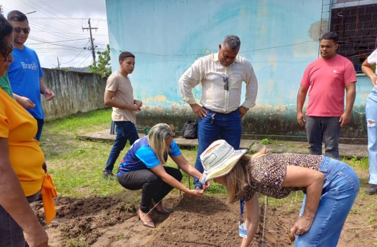 As hortas estão sendo distribuídas entre os espaços escolares / Ascom/Seagri