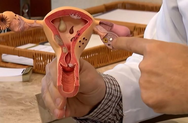 Brasília, 14/07/2023, O ginecologistas, Leonardo Campbell, durante entrevista sobre o Julho Verde-Escuro que conscientiza sobre prevenção ao câncer ginecológico. Foto: Frame/TV Brasil